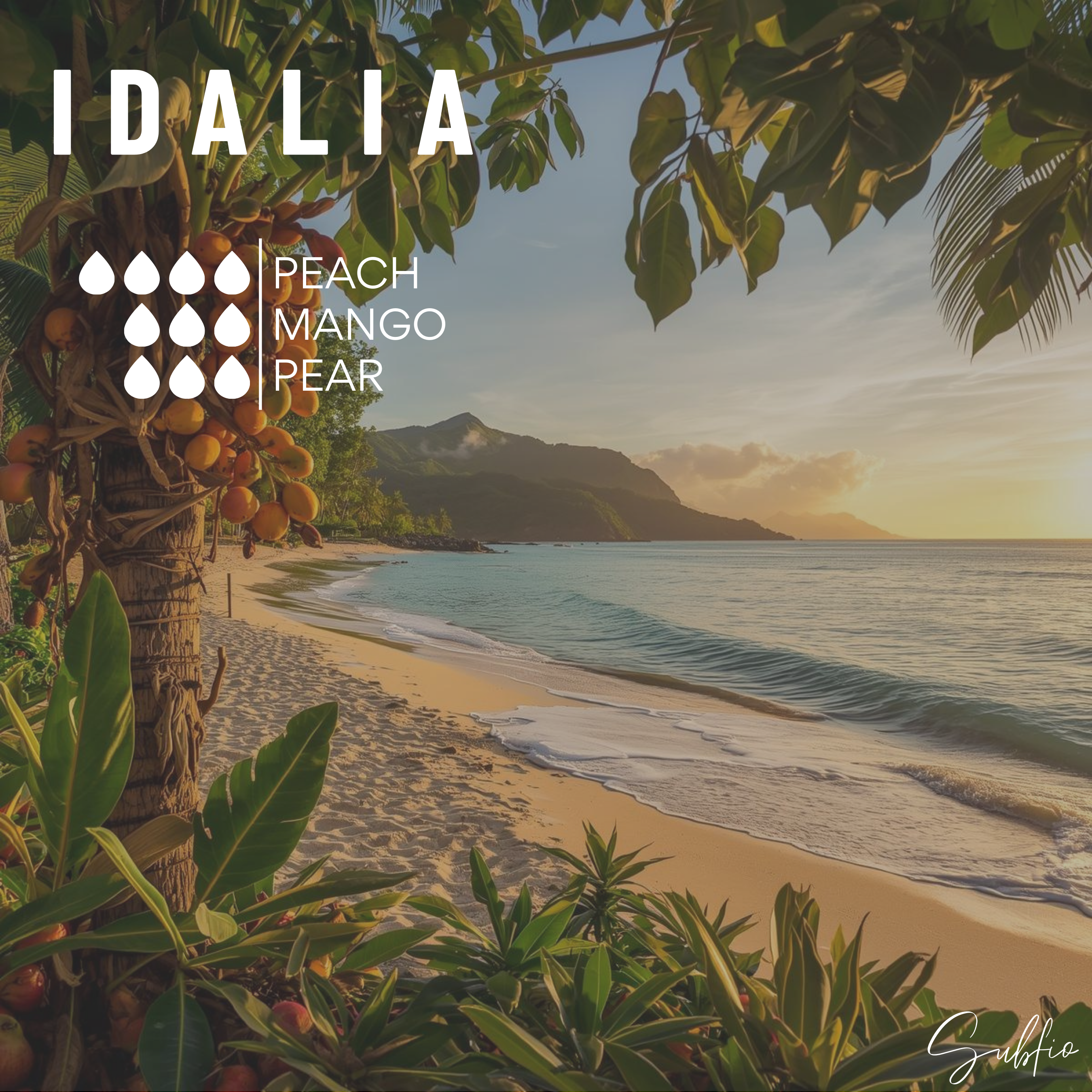 Idalia 14 oz Candle